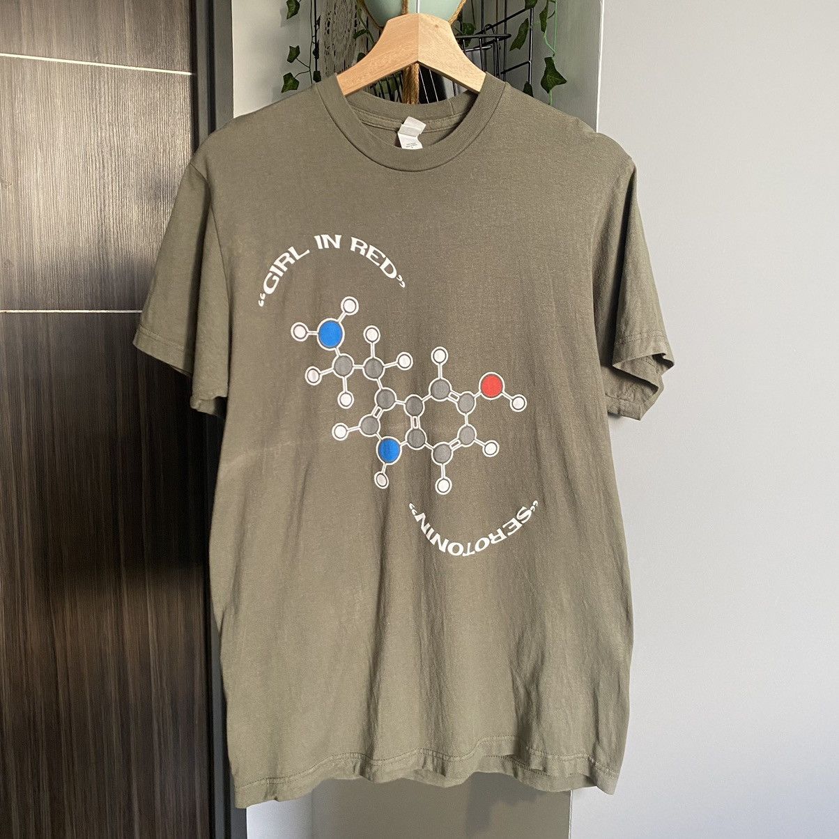 Band Tees Girl In Red Band Serotonin Song Erd Grunge Grail Punk Tee Hoodie, Sweatshirt | PodTeesHub.com