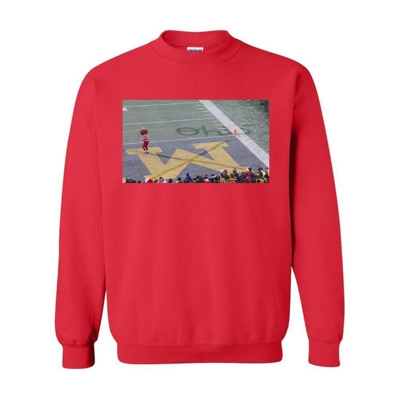 Brutus Buckeye Ohio Snow Shirt Hoodie, Sweatshirt | PodTeesHub.com