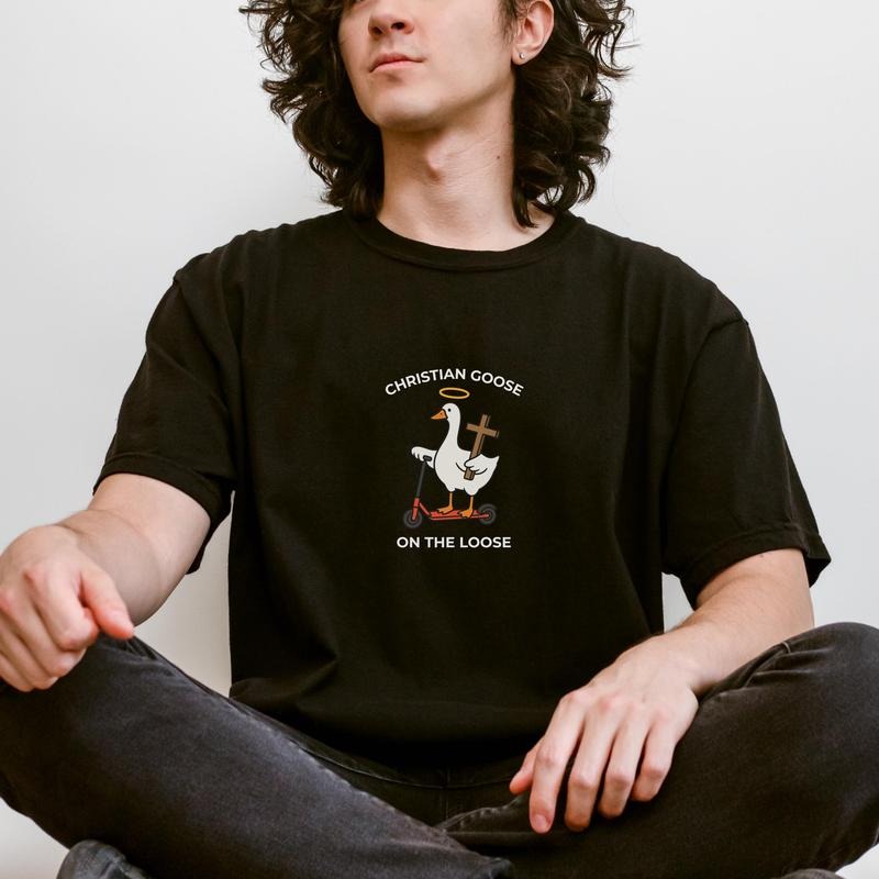 Christian Goose on the Loose Funny Silly Goose Unisex T-Shirt, Funny Christian Religious Tee, Unisex Faith Based Top...