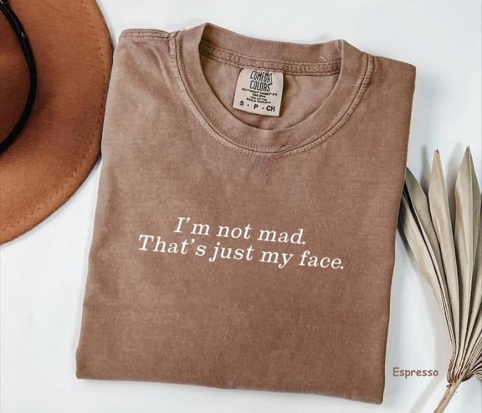 Comfort Colors I'm Not Mad. That's Just My Face T-Shirt, Funny Shirt, Funny Quotes Tee, For Man/Woman Hoodie, Sweatshirt