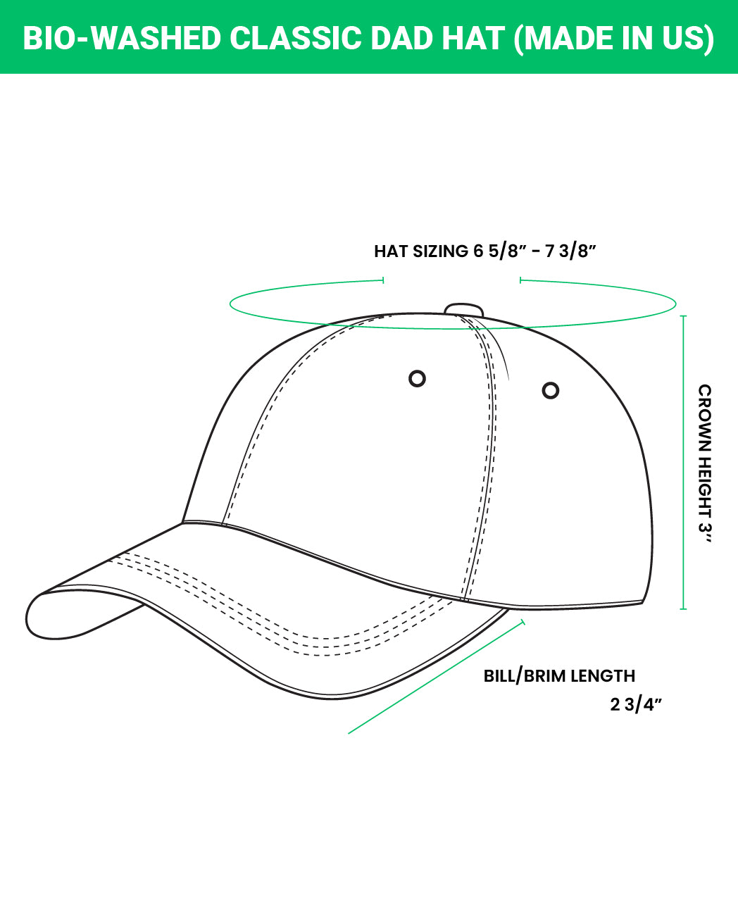 Toronto Raptors Funny Hat