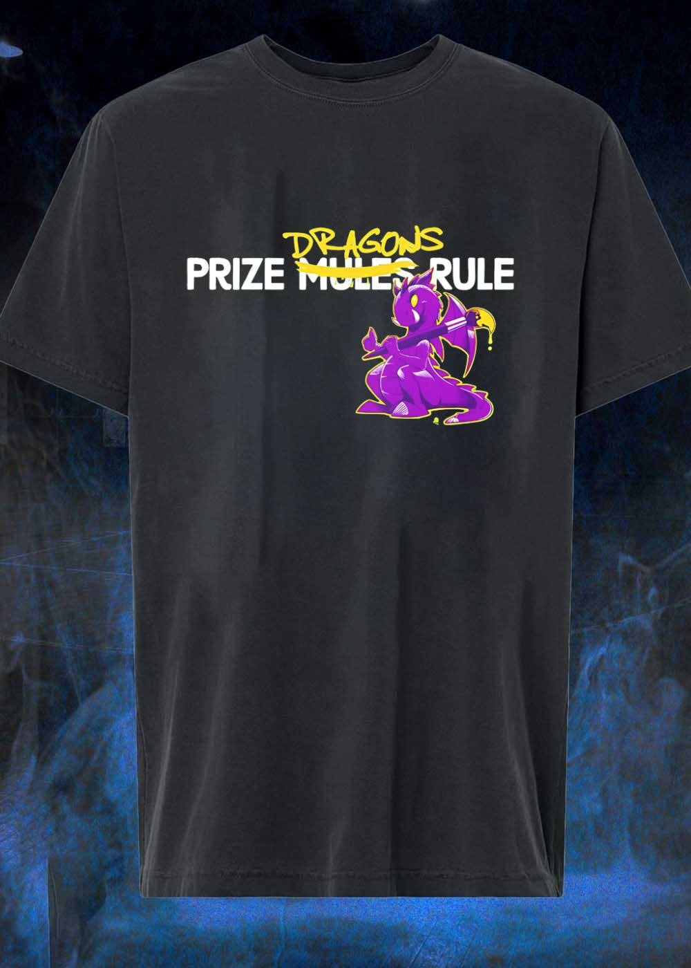 Dragons Paint Prize Mules Rule shirt