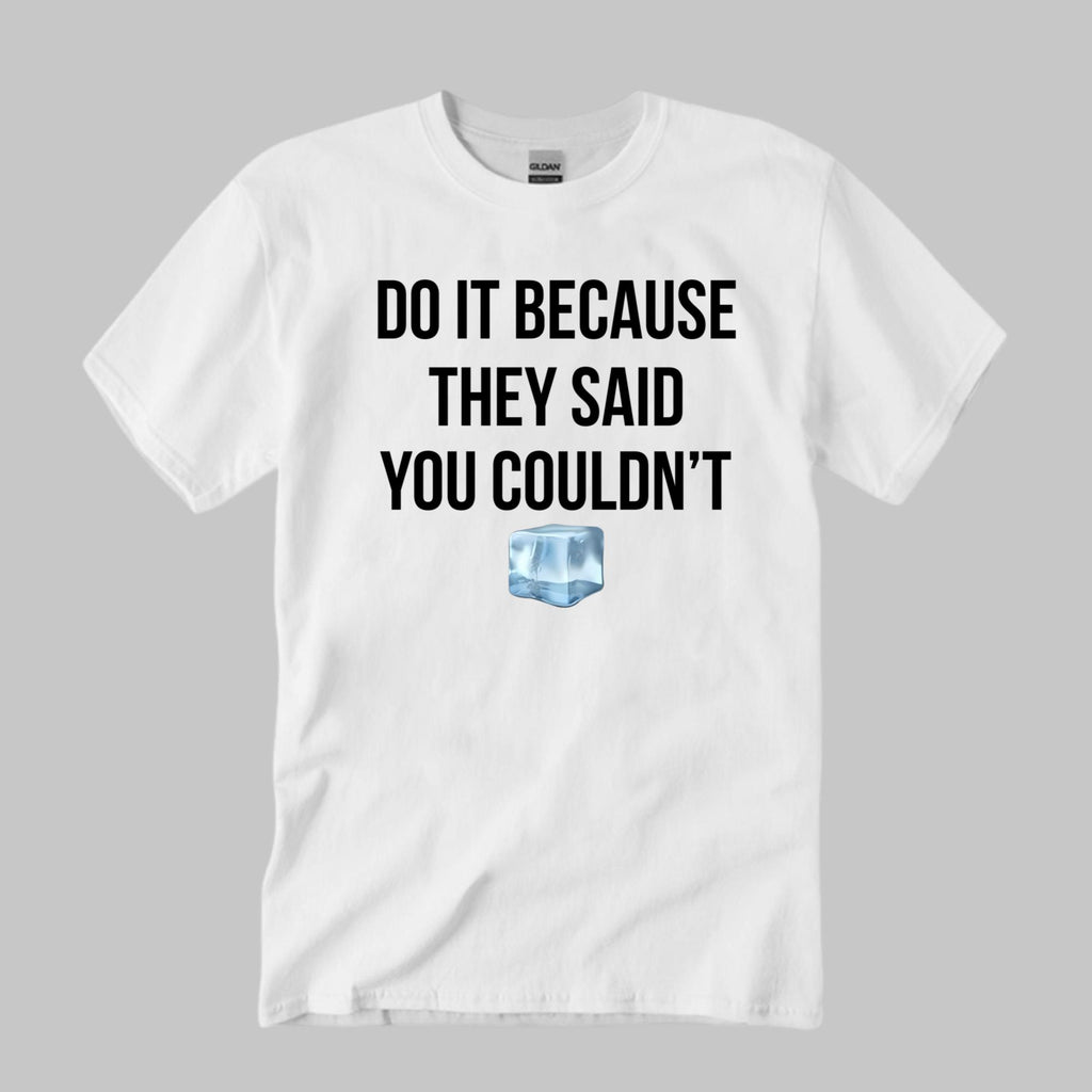 Drake Do It Because They Said You Couldn’t Shirt