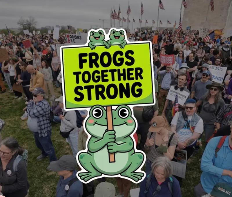 Frogs Together Strong Sticker, Stand with Green Frog Decal, Portland Frog Rage Again The Machine Protest Sticker, Anti...
