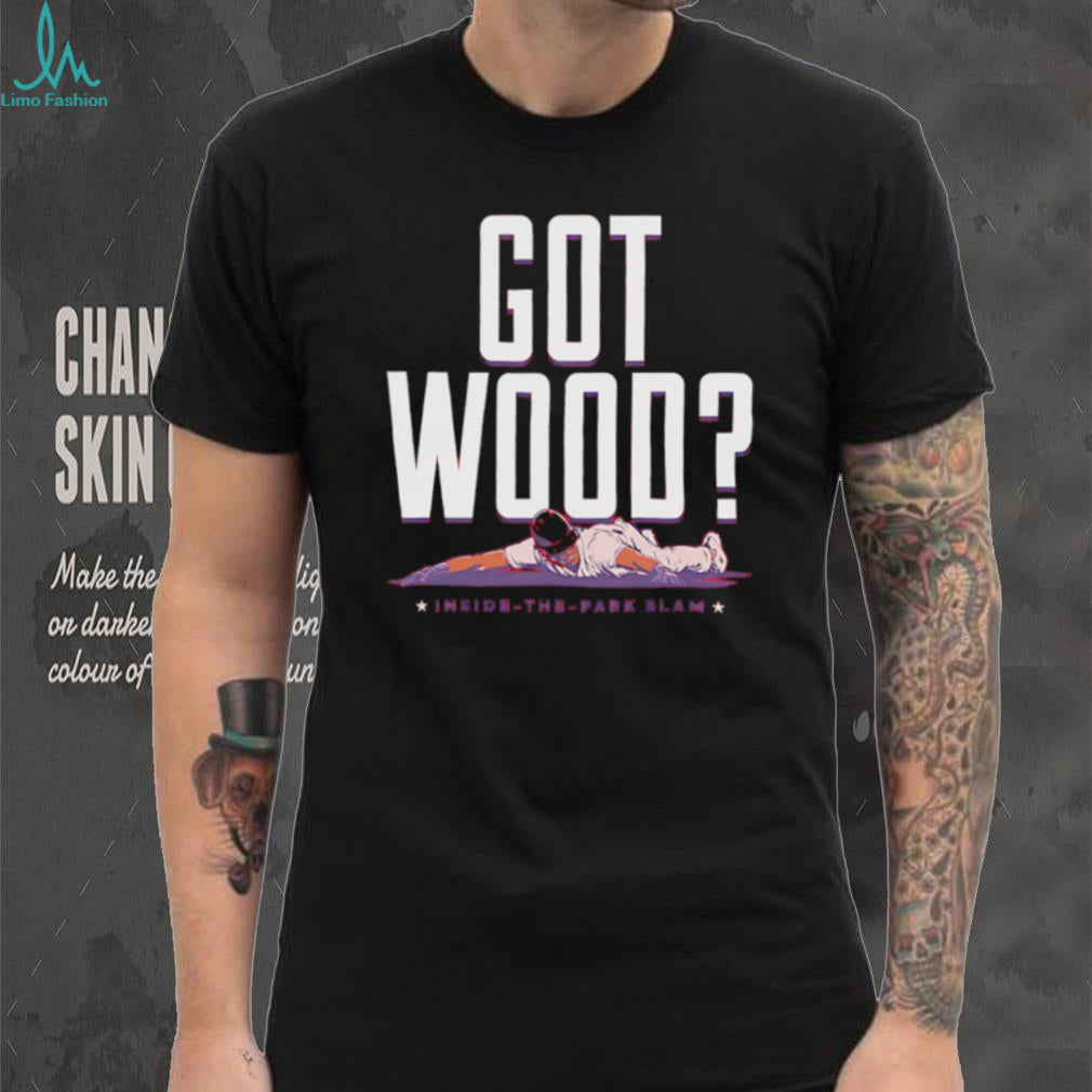 Got Wood Baseball Inside The Park Slam Funny Sports T Shirt