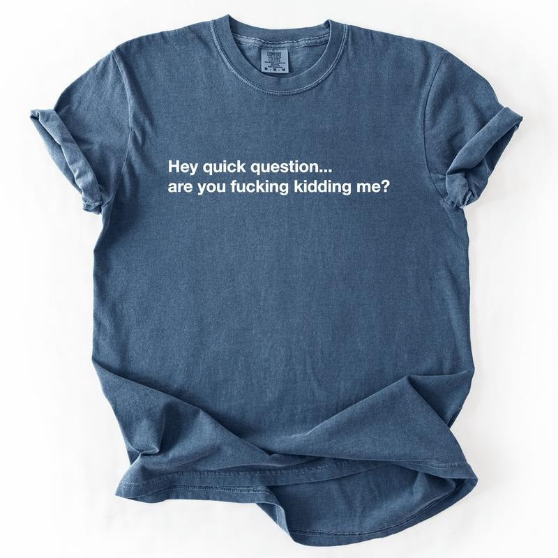 Hey Quick Question, Are You Kidding Me, Vulgar, Sassy, Sarcastic, Minimalist, Funny, Comfort Colors T-Shirt, Women's...