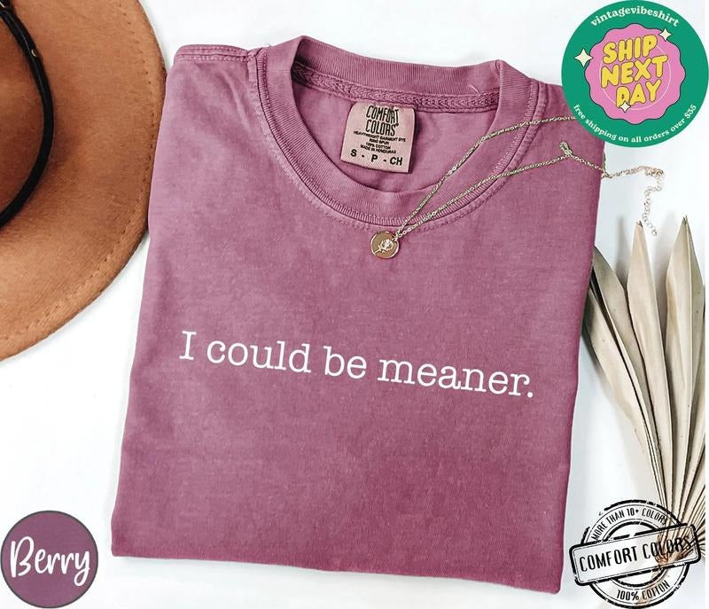 I Could Be Meaner Shirt Comfort Colors, Sarcastic Sweatshirt, Funny Quote Crewneck, Funny Humor Shirt, Trendy Shirt For...