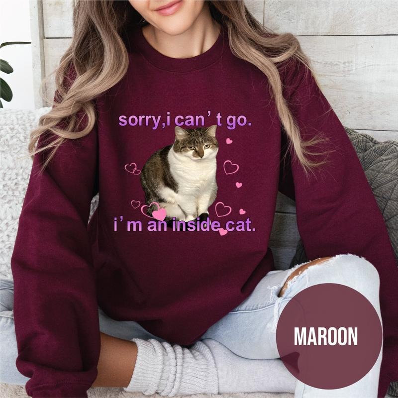 I'm an Inside Cat Y2k Funny Sweatshirt for Men and Women