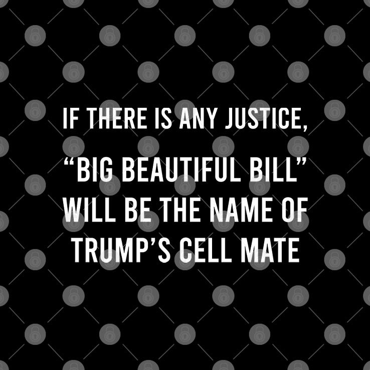 If There Is Any Justice Big Beautiful Bill Will Be The Name Of Trump’s Cell Mate T Shirt