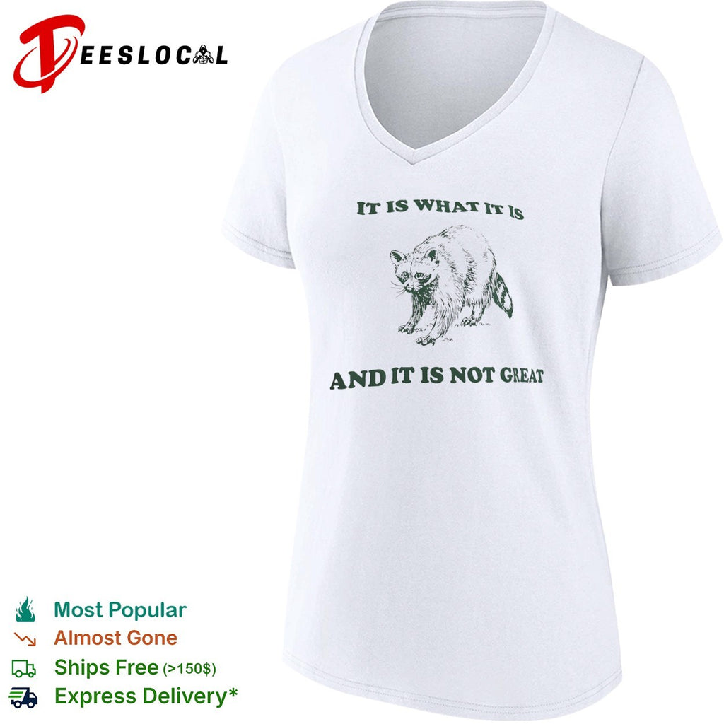 It is what it is and it is not great Raccoon shirt