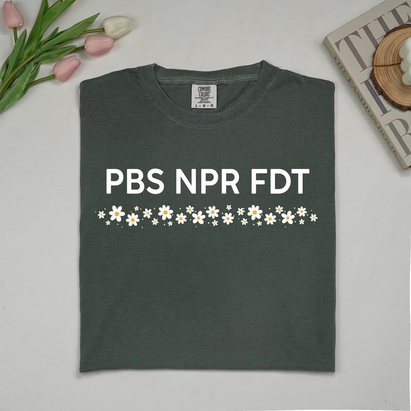 MAPTEES PBS NPR FDT Comfort Colors Shirt, Subtle FDT Graphic Tee, Anti MAGA T-shirt, 8647 Outfits, Sarcastic Activist...