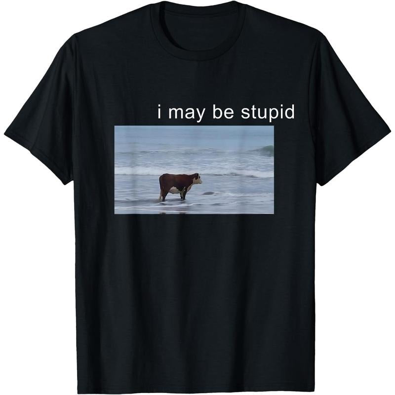 Maybe I Am Stupid But At Least I Have This Cool T-Shirt Hoodie, Sweatshirt | PodTeesHub.com