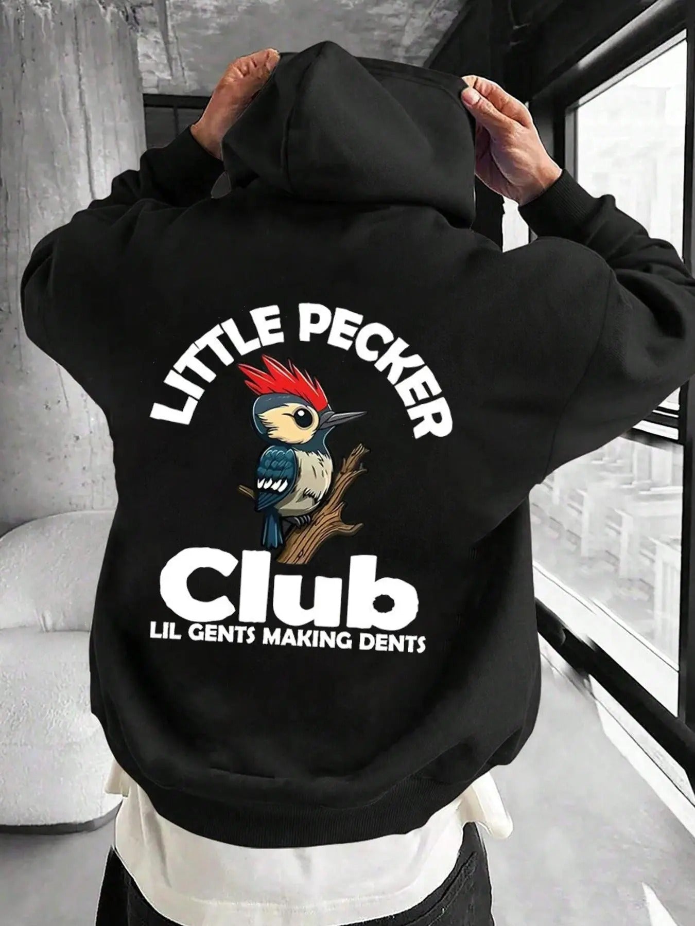 Men's Bird & Letter Print Thermal Lined Hoodie, Casual Regular Fit Long Sleeve Hooded Sweatshirt for Spring & Fall,...