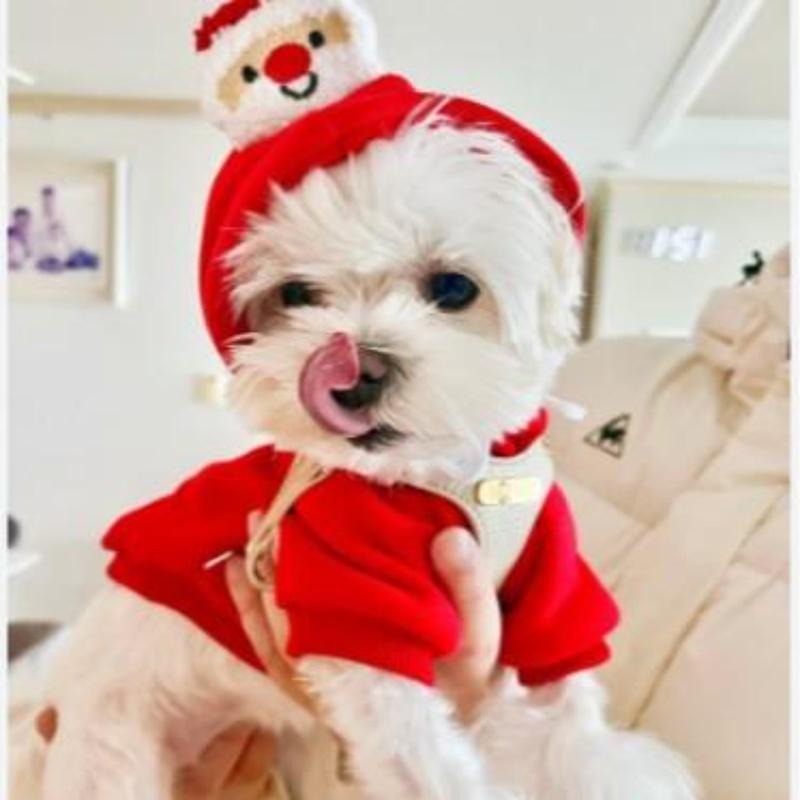Pet Clothes Dog and Cat Sweaters - New Arrivals for Autumn and Winter Medium-sized Dog and Cat Christmas and Holiday Pet...