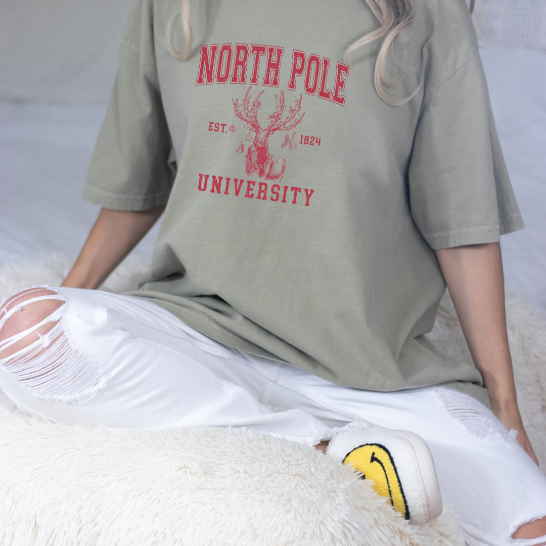 North Pole University Christmas Graphic Tee - Red Print Hoodie, Sweatshirt | PodTeesHub.com