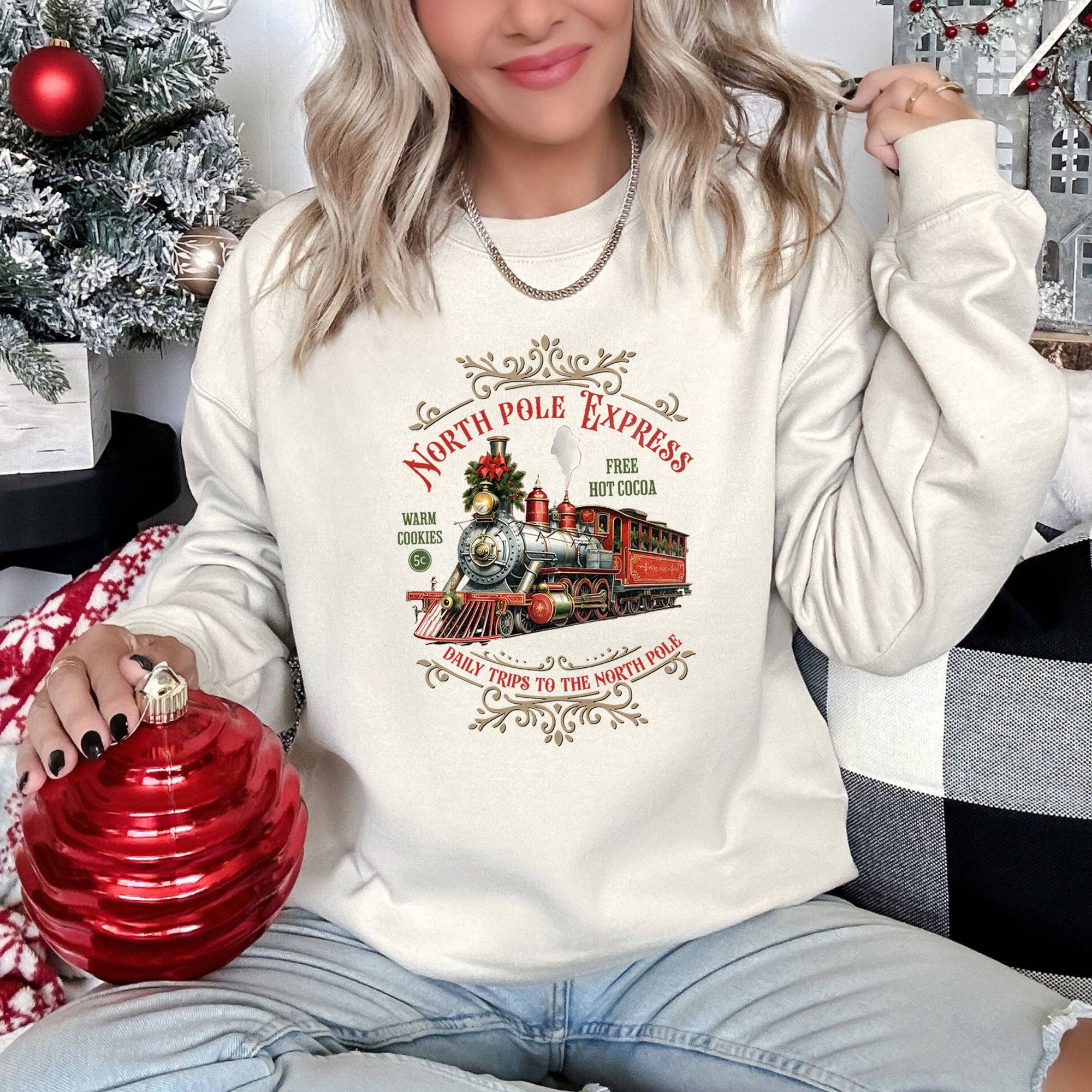 North Pole Express, Vintage Christmas Sweatshirt T-Shirts, Hoodie | PodTeesHub.com