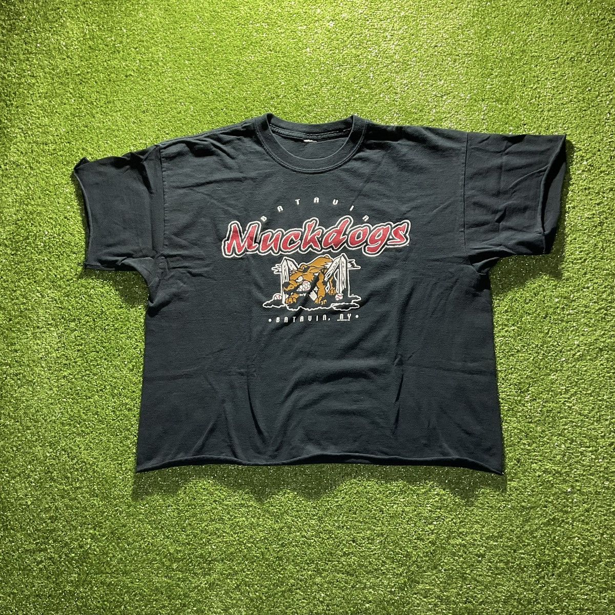 Vintage 2005 New York Muck Dogs Black Graphic Cropped Tee Hoodie, Sweatshirt | PodTeesHub.com