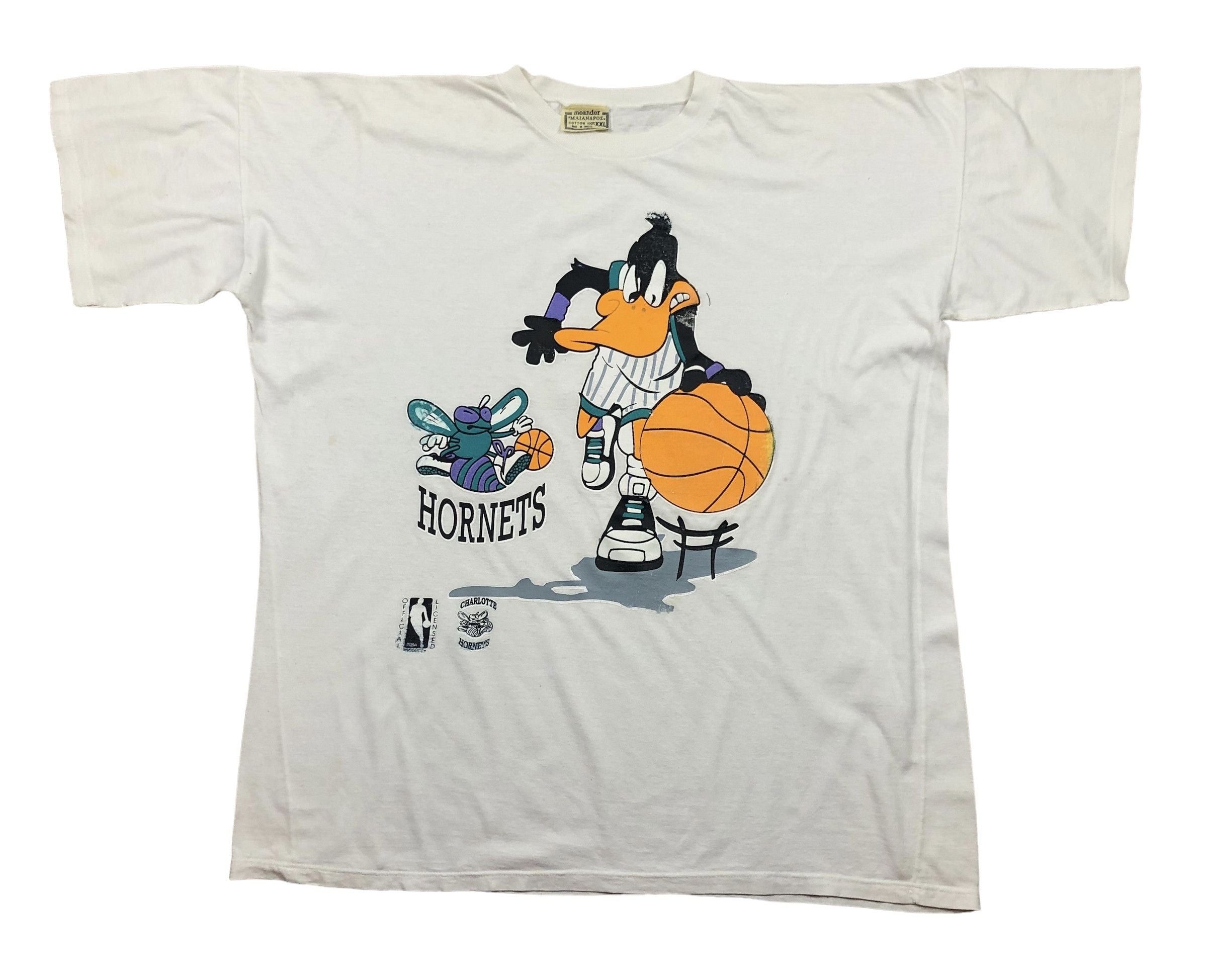 Vintage Charlotte Hornets Tee Shirt Jersey Rare Nba Y2k Hoodie, Sweatshirt | PodTeesHub.com