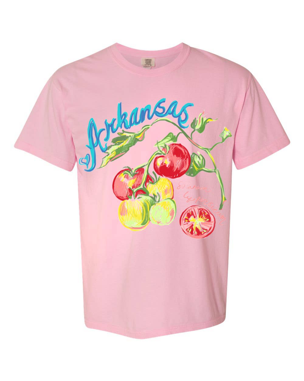 Arkansas Fruit Blossom Comfort Colors Tee Hoodie, Sweatshirt | PodTeesHub.com