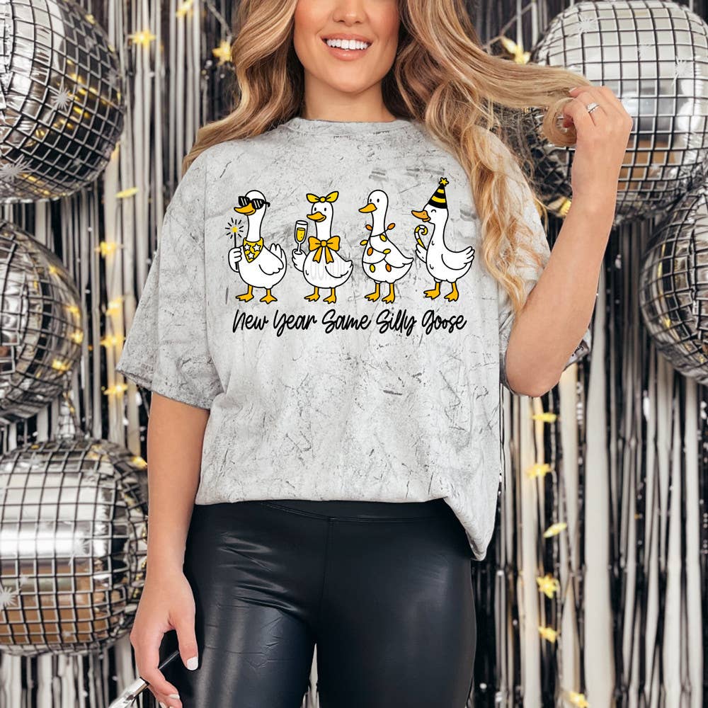 New Year Same Silly Goose Tee Hoodie, Sweatshirt | PodTeesHub.com