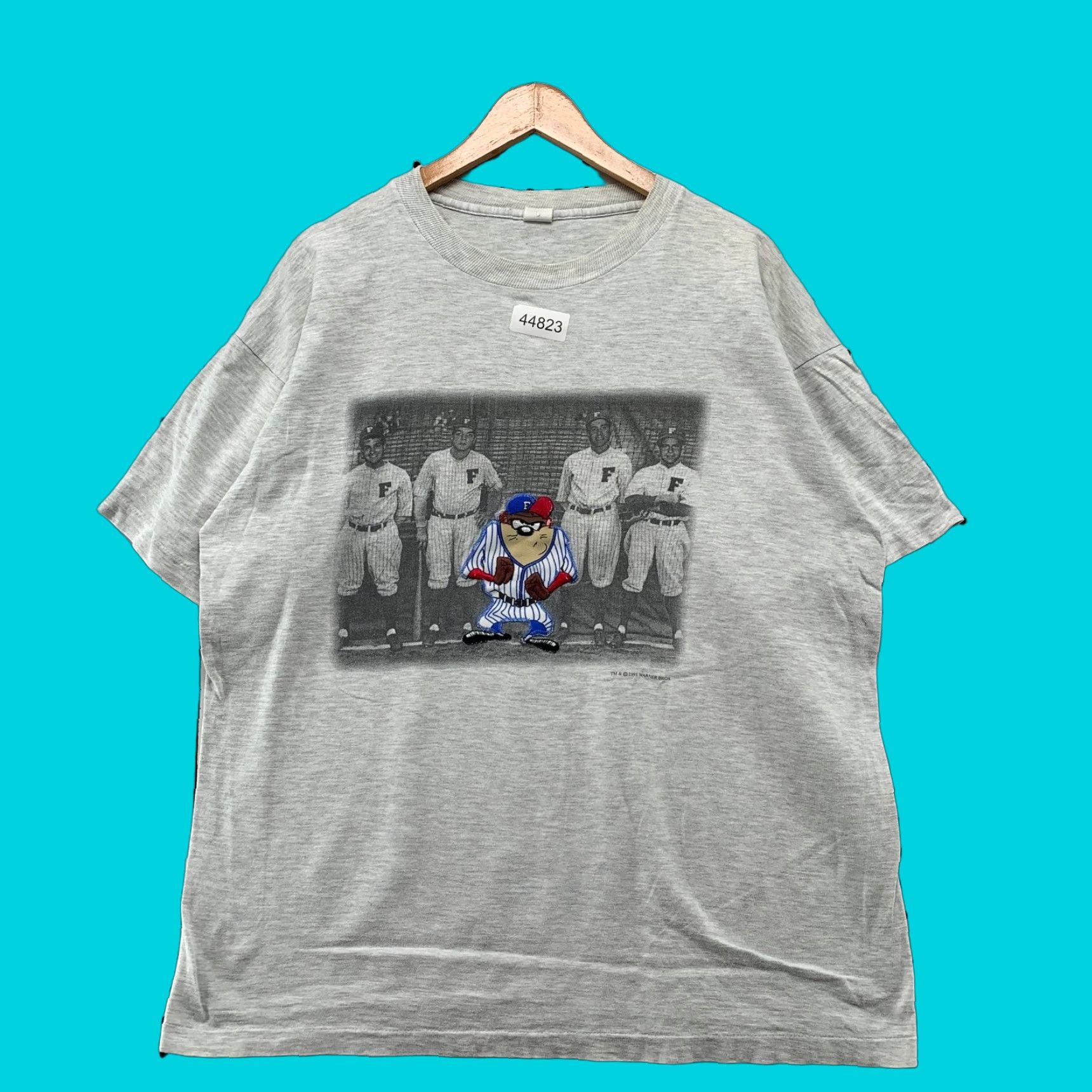 Vintage Taz Baseball Shirt Mens Xl Gray Embroidered Usa 90s Cartoon Sports T Shirt Hoodie, Sweatshirt | PodTeesHub.com