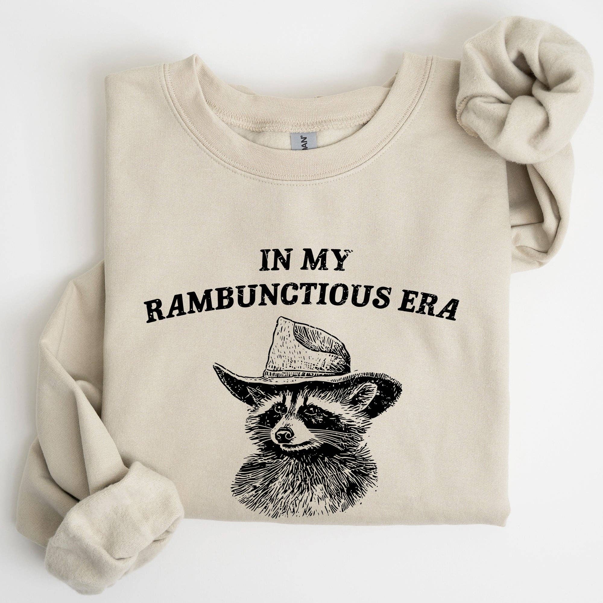 Rambunctious Era, Raccoon, Meme, Aesthetic, Funny Sweatshirt T-Shirts, Hoodie | PodTeesHub.com