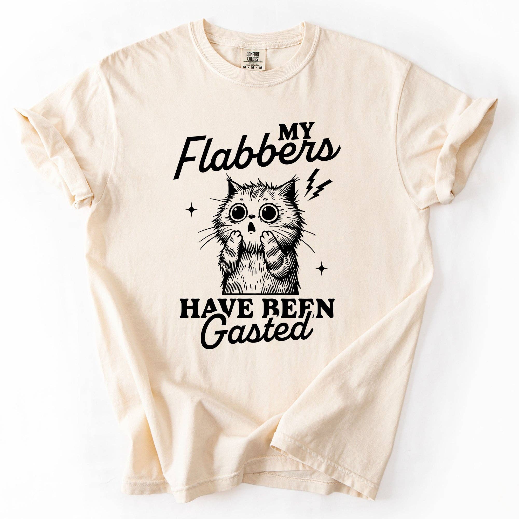 My Flabbers Have Been Gasted, Funny, Sassy, Sarcastic Tshirt Hoodie, Sweatshirt | PodTeesHub.com
