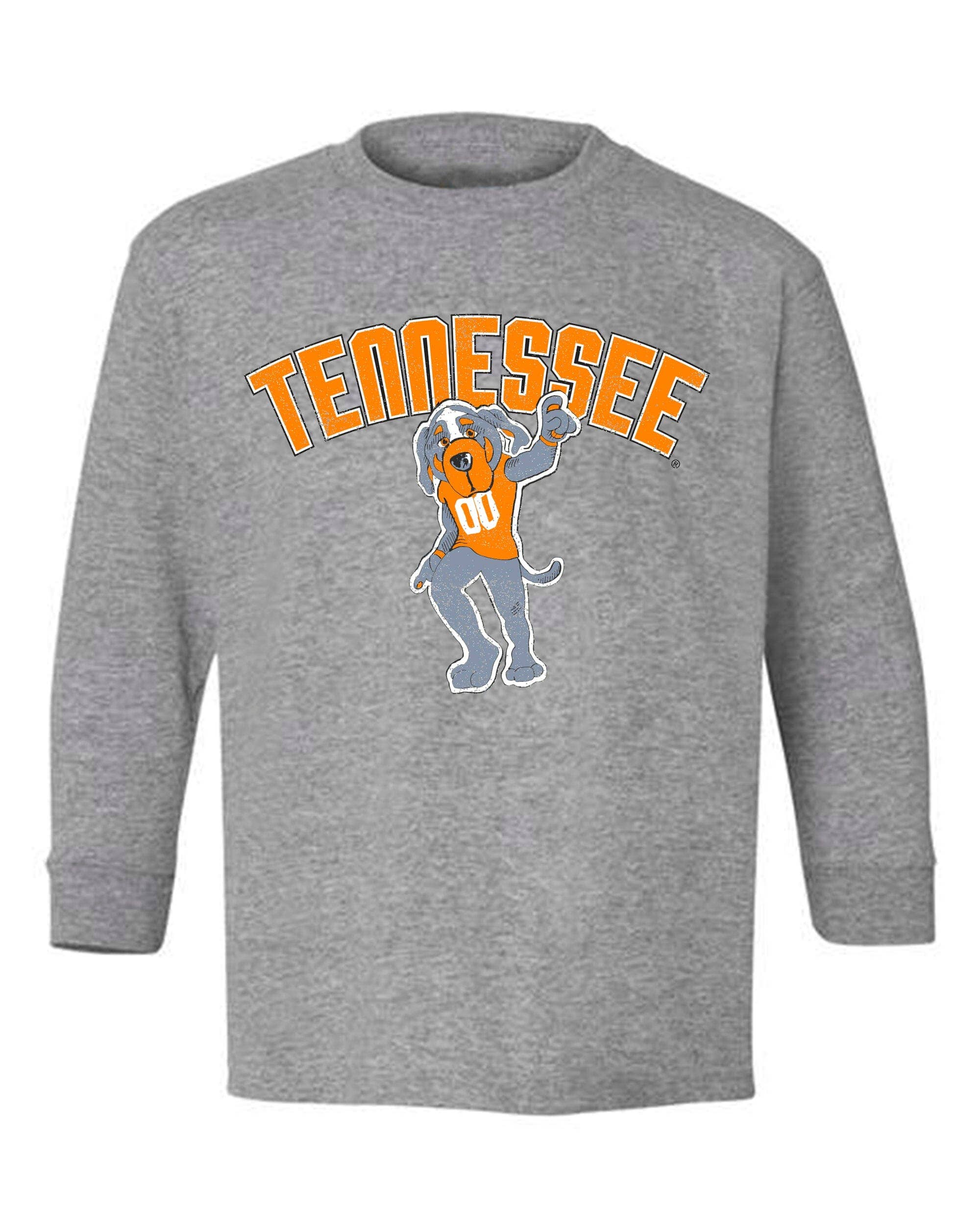Children's Tennesse Vols Smokey Cartoon Mascot Ls Gray Tee Hoodie, Sweatshirt | PodTeesHub.com
