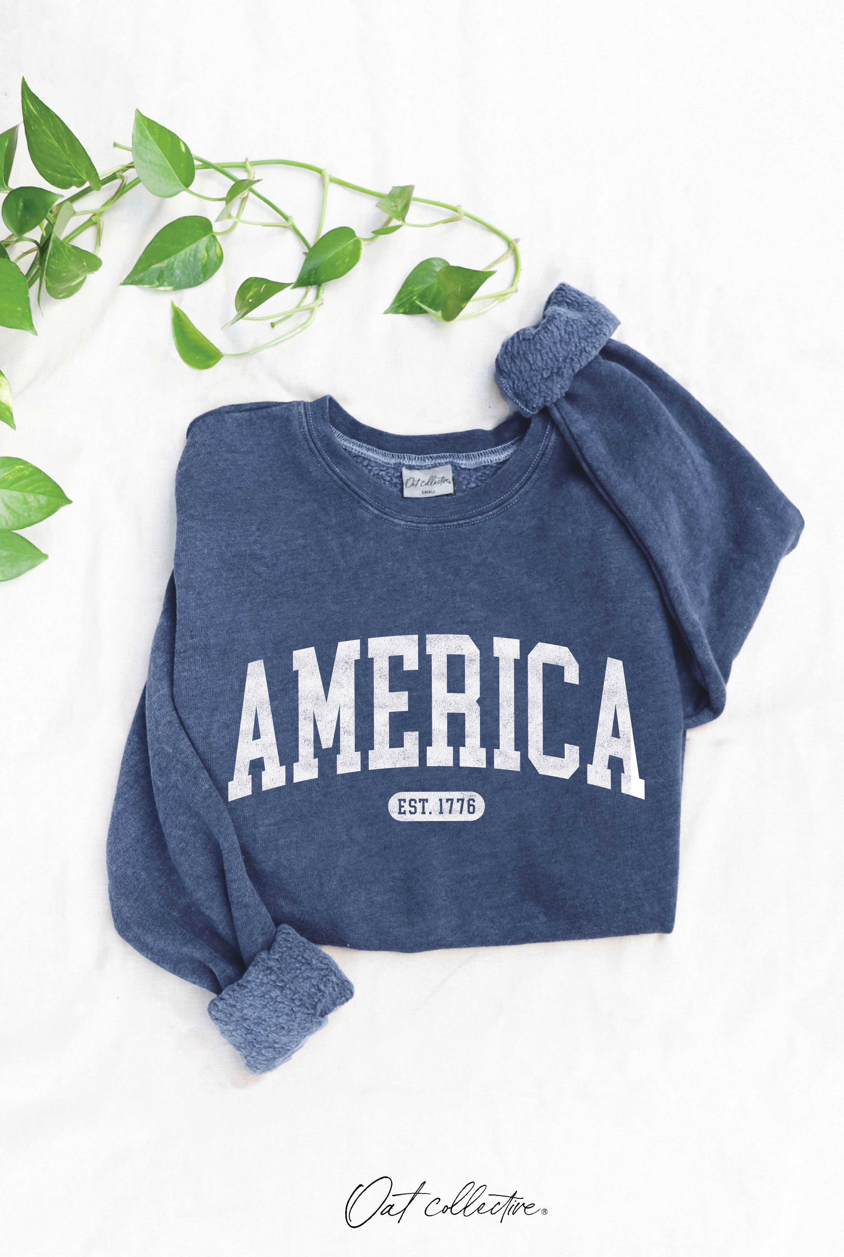 America Est 1776  Mineral Graphic Sweatshirt T-Shirts, Hoodie | PodTeesHub.com