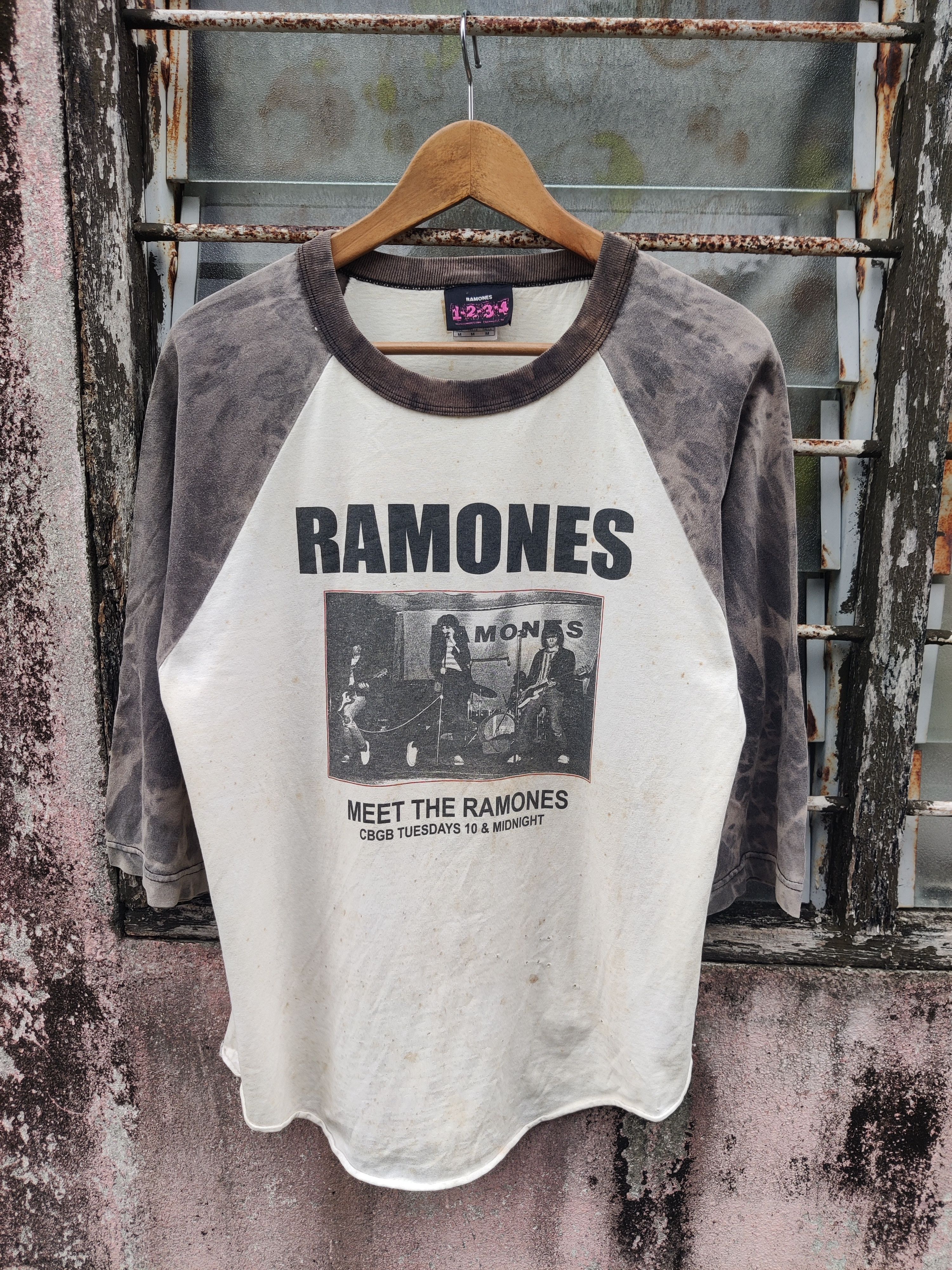 Band Tees Vintage Y2k Distressed Ramones Punk Cbgb Band Shirt Hoodie, Sweatshirt | PodTeesHub.com