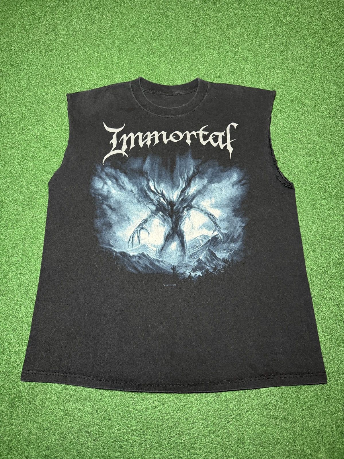 Band Tees Vintage Immortal Black Metal 90s Y2k Cutoff L Band T Shirt Hoodie, Sweatshirt | PodTeesHub.com