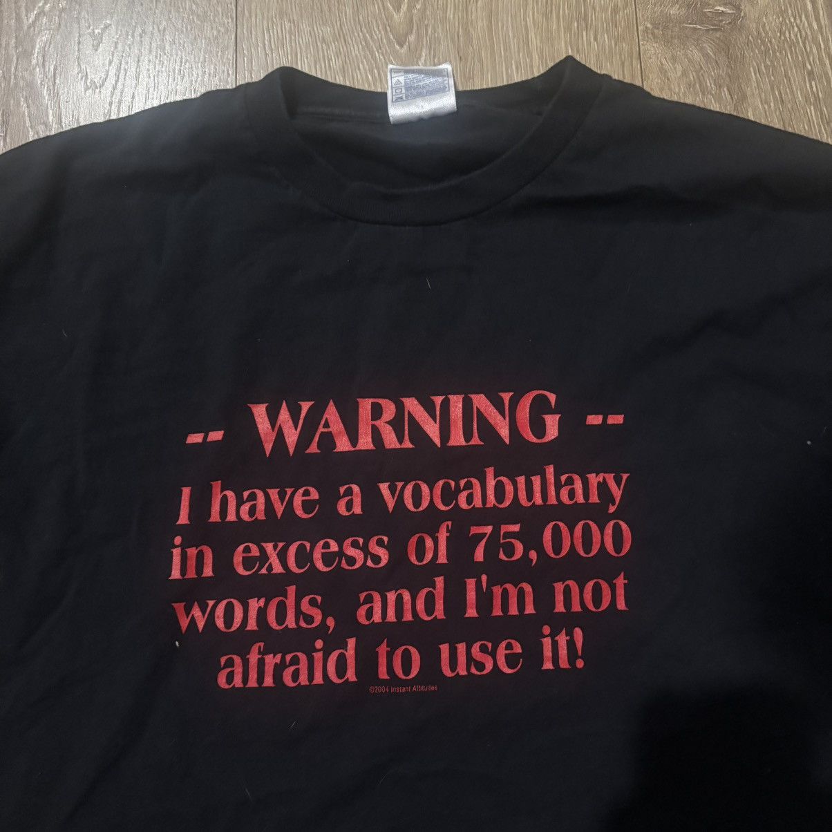 Aaa Vintage 2004 Vocabulary Comedy Humor Funny T Shirt Hoodie, Sweatshirt | PodTeesHub.com