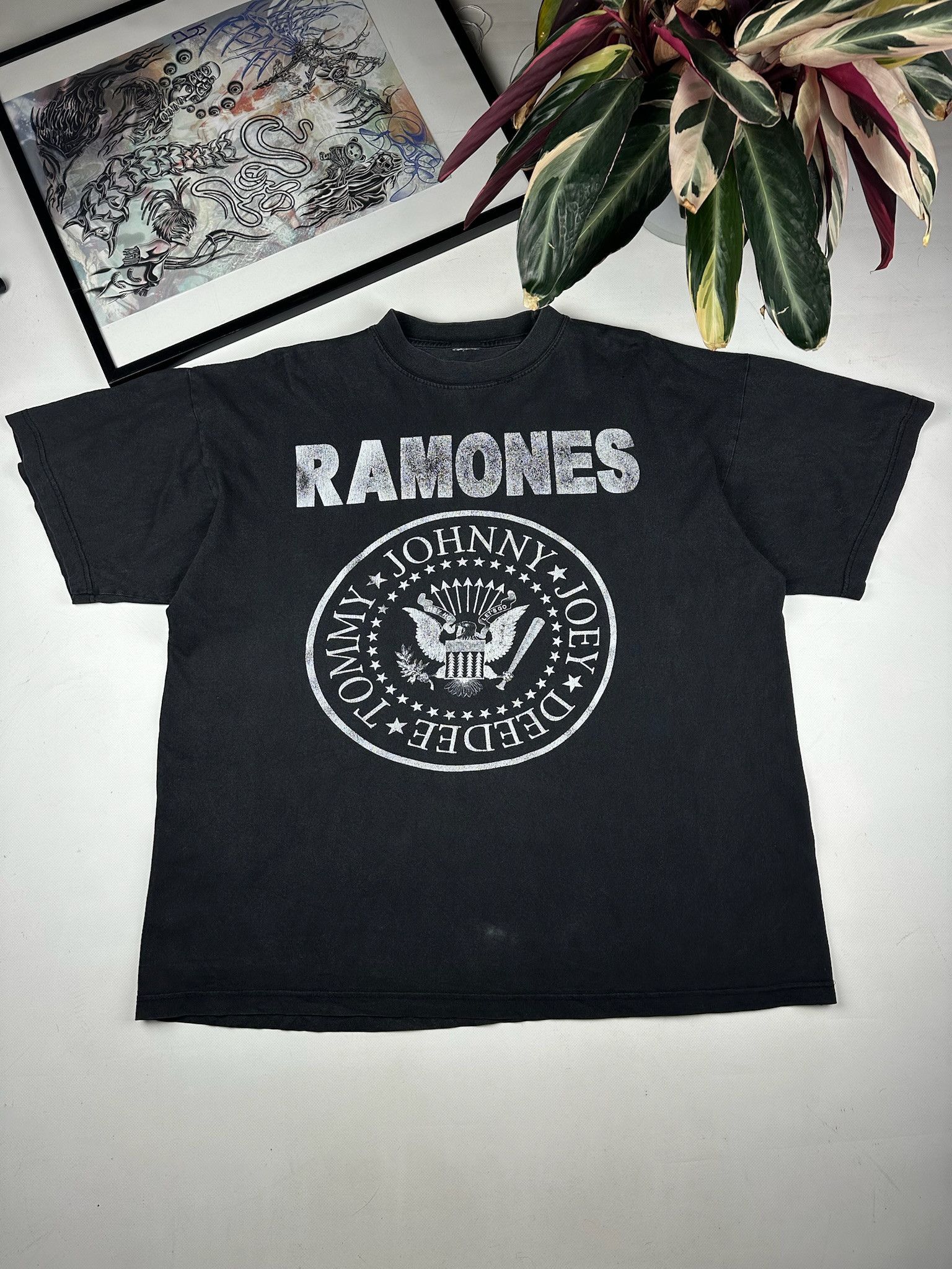 Band Tees Trashed Vintage Ramones Hey Ho Lets Go Punk Tee Hoodie, Sweatshirt | PodTeesHub.com