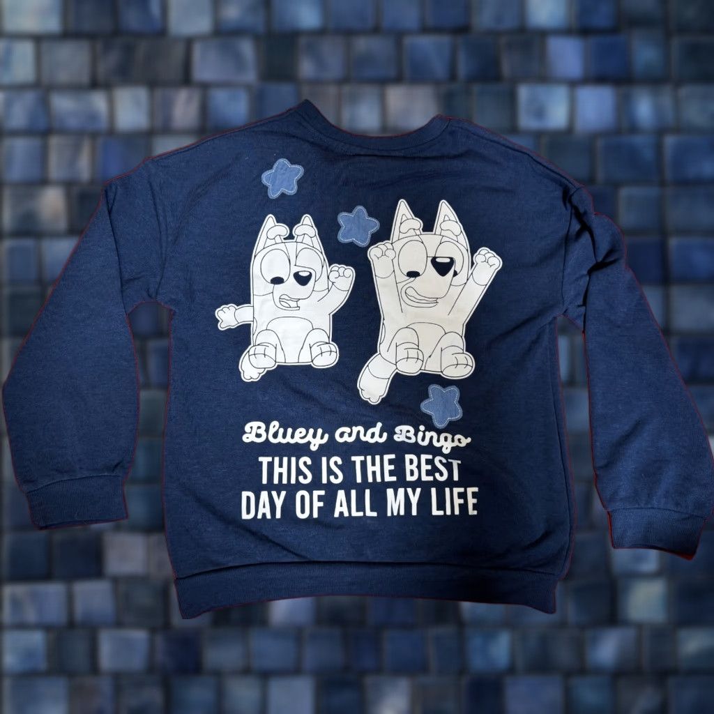Vintage Bluey Bingo Sweatshirt Graphic Best Day Ever Youth Large 10 12 New T-Shirts, Hoodie | PodTeesHub.com