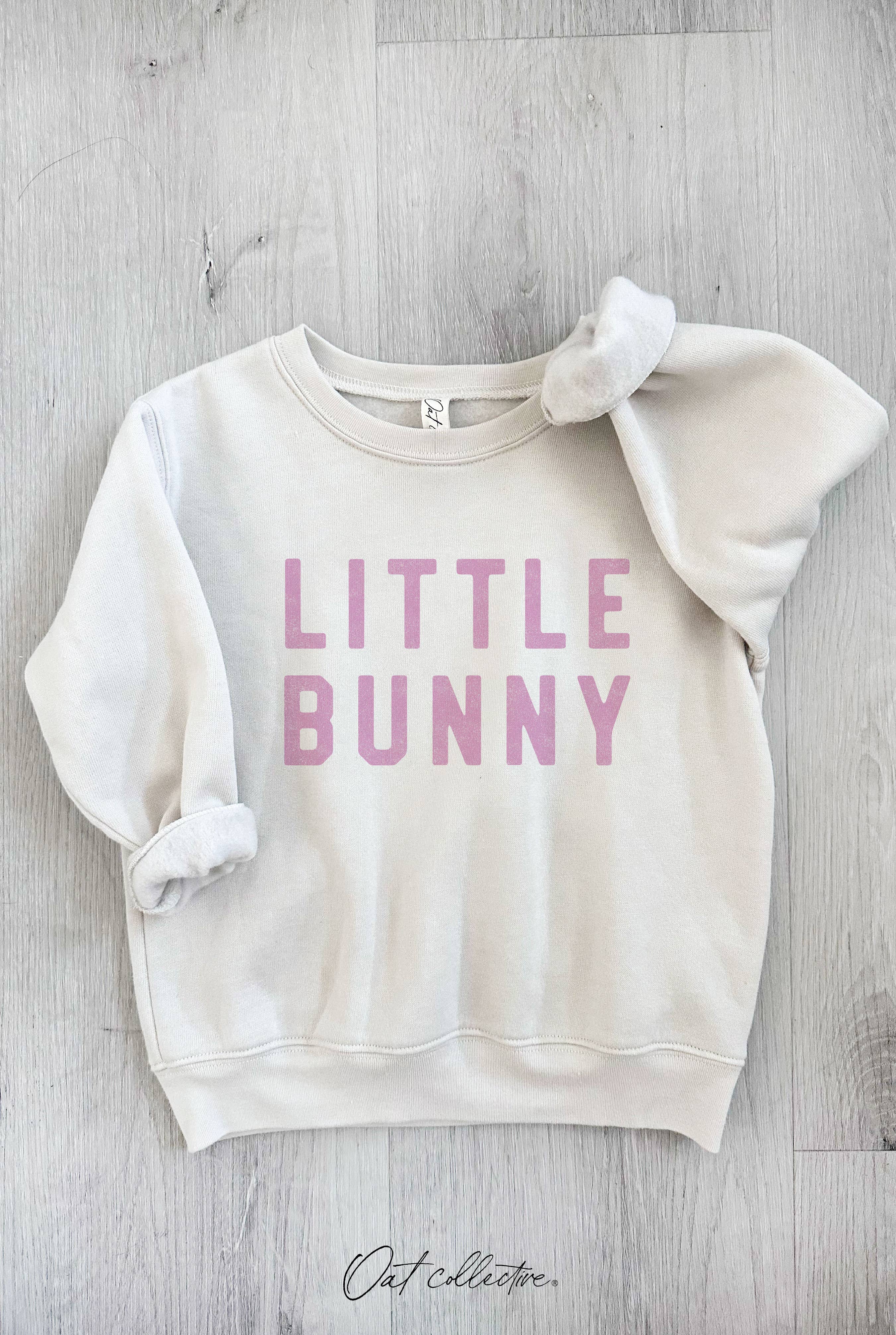 Little Bunny Toddler Graphic Sweatshirt T-Shirts, Hoodie | PodTeesHub.com