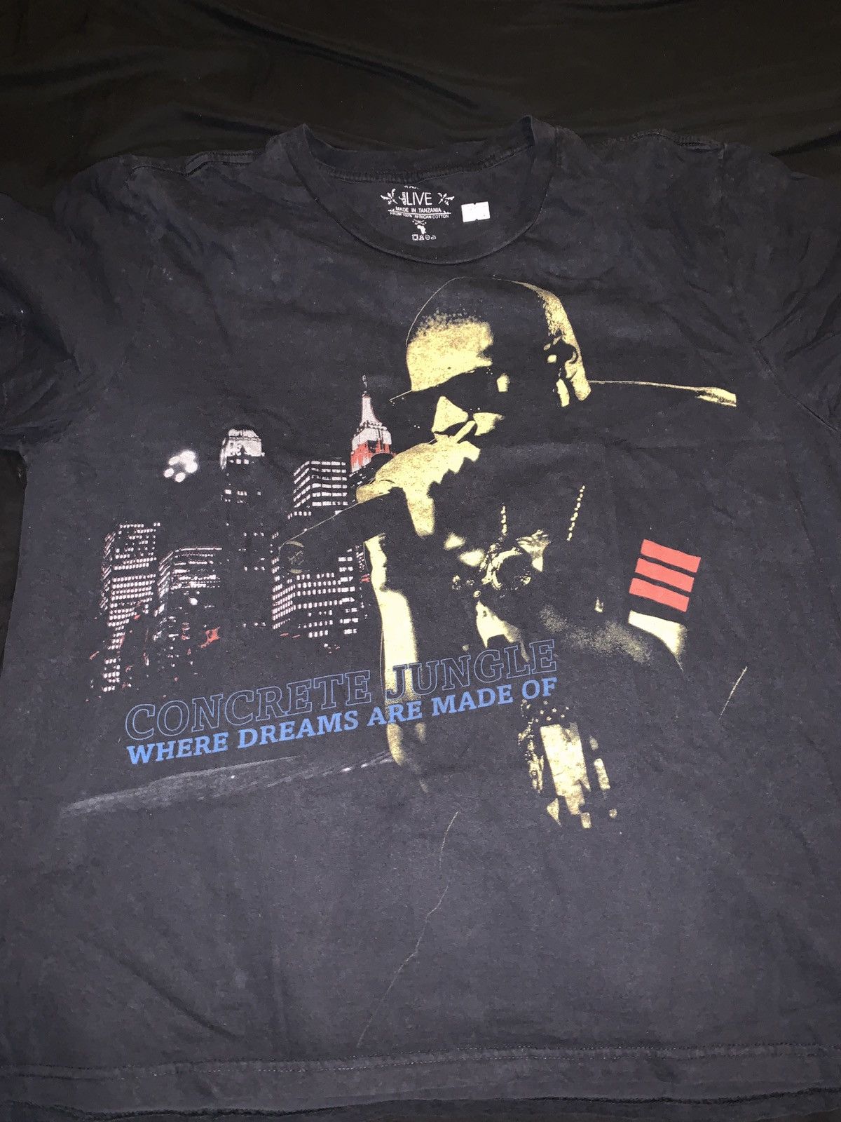 Rap Tees Vintage Jay Z Concrete Jungle Raptee Size Xxl Hoodie, Sweatshirt | PodTeesHub.com