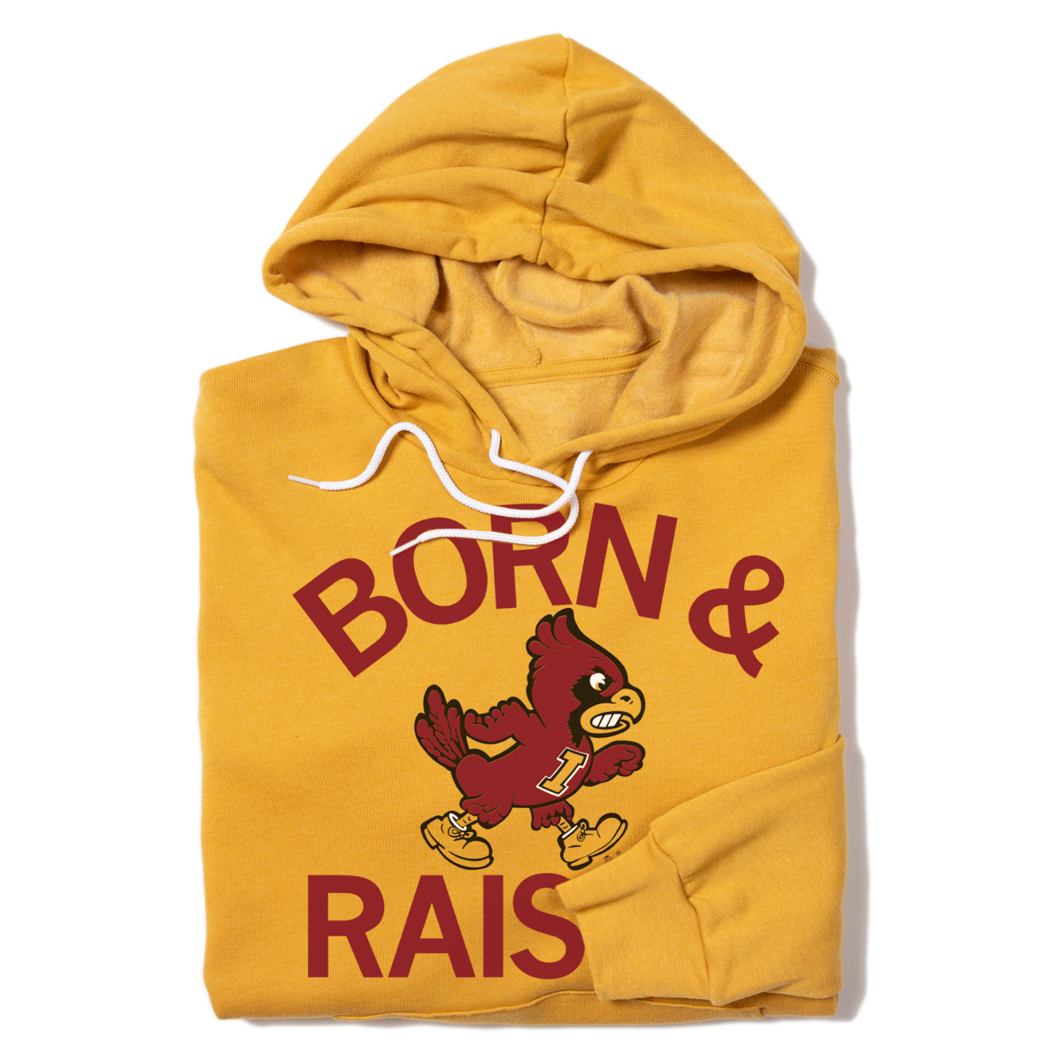 Cyclones Born & Raised Vintage Gold Pullover Hoodie T-Shirts, Sweatshirt | PodTeesHub.com