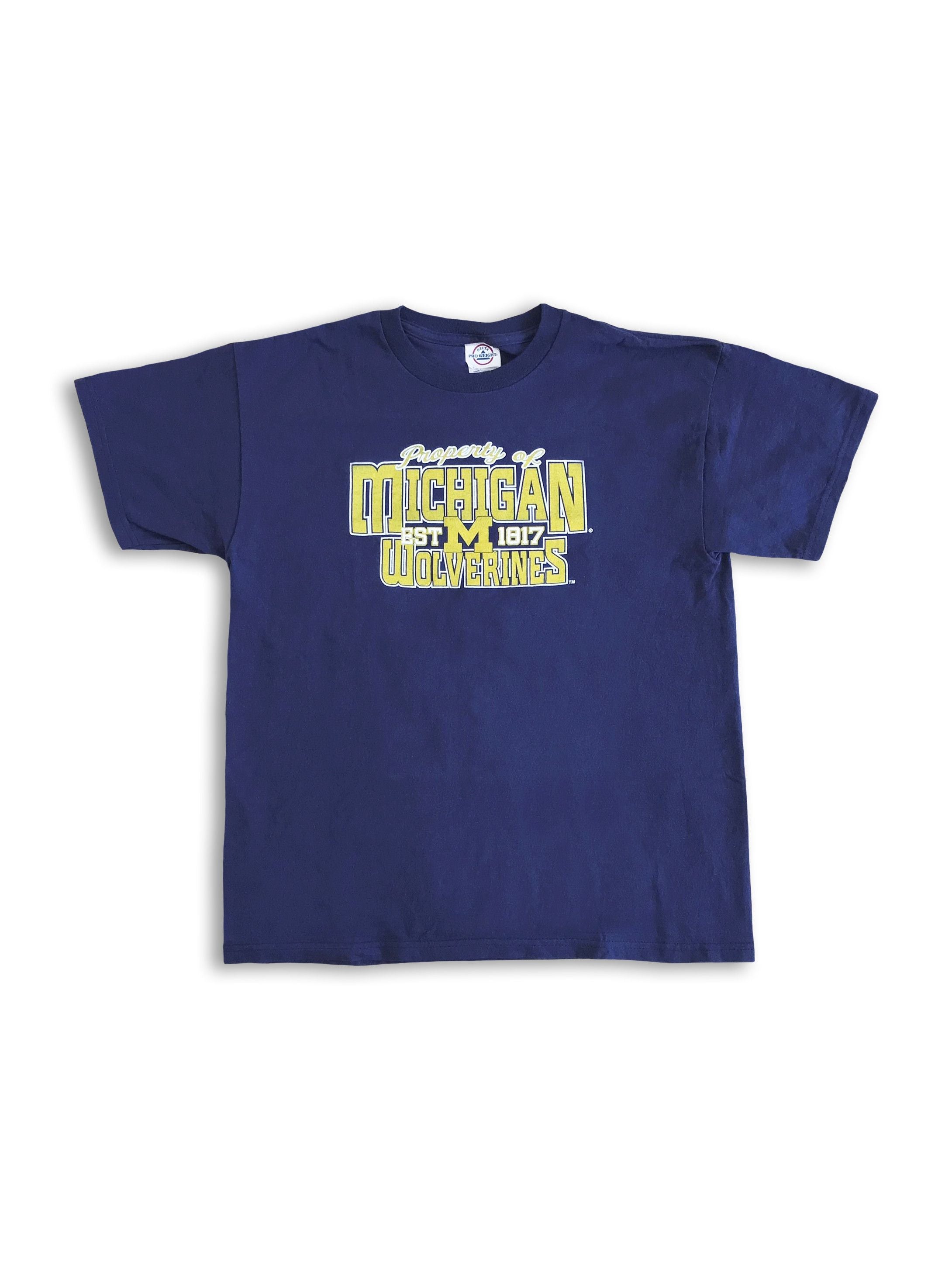 Delta Y2k Michigan Wolwerines T Shirt Sport Tee College Fab Five Hoodie, Sweatshirt | PodTeesHub.com