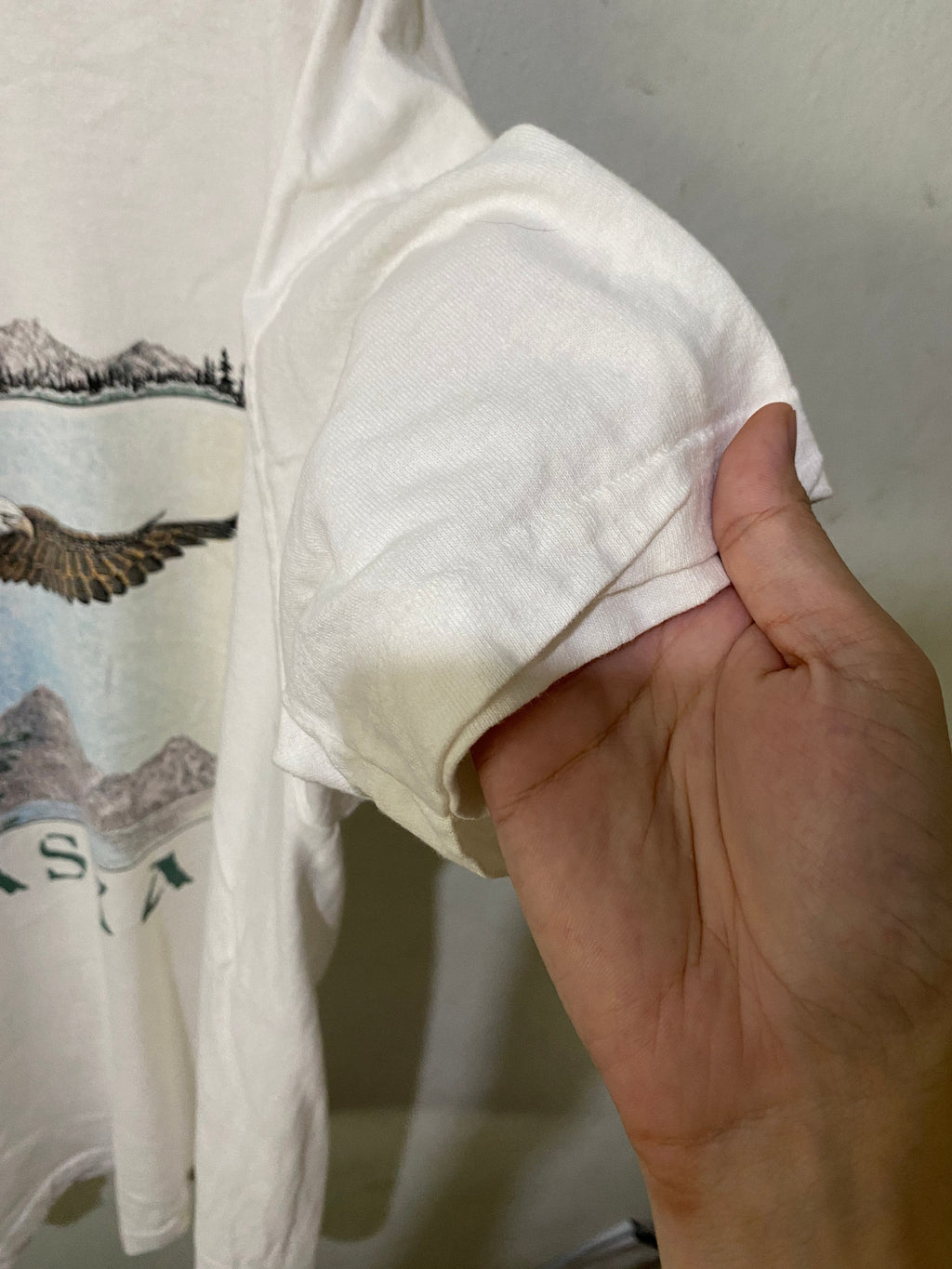 Vintage 90s Alaska Eagle Wildlife Size Xl Unisex T-shirt, Sweatshirt, Hoodie (4)