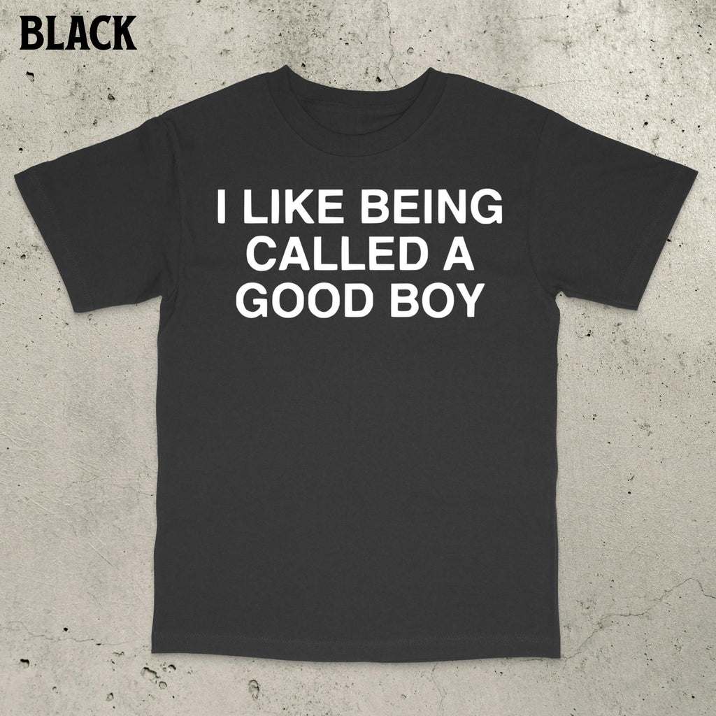Good Boy Meme Stupid Dumb Brain Ro Embarrassing Saying Statemen (1)