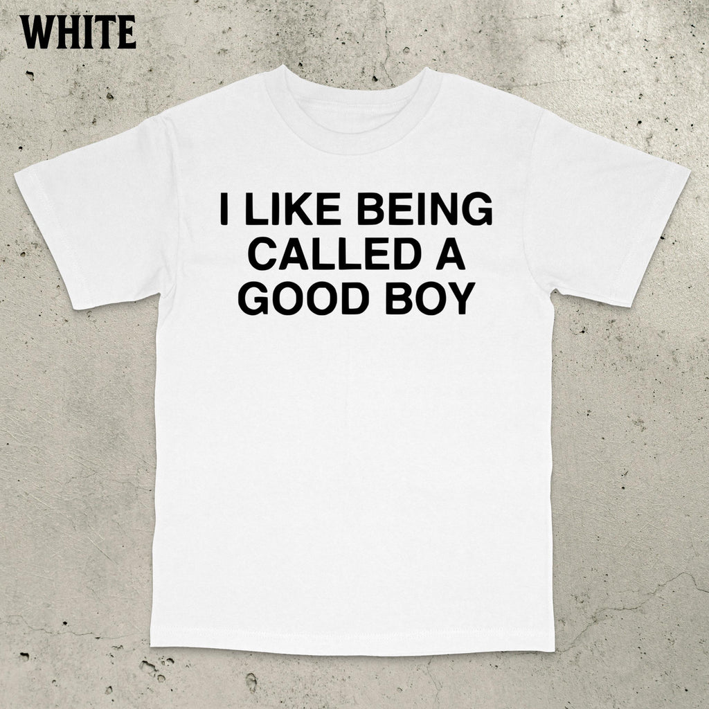 Good Boy Meme Stupid Dumb Brain Ro Embarrassing Saying Statemen (2)