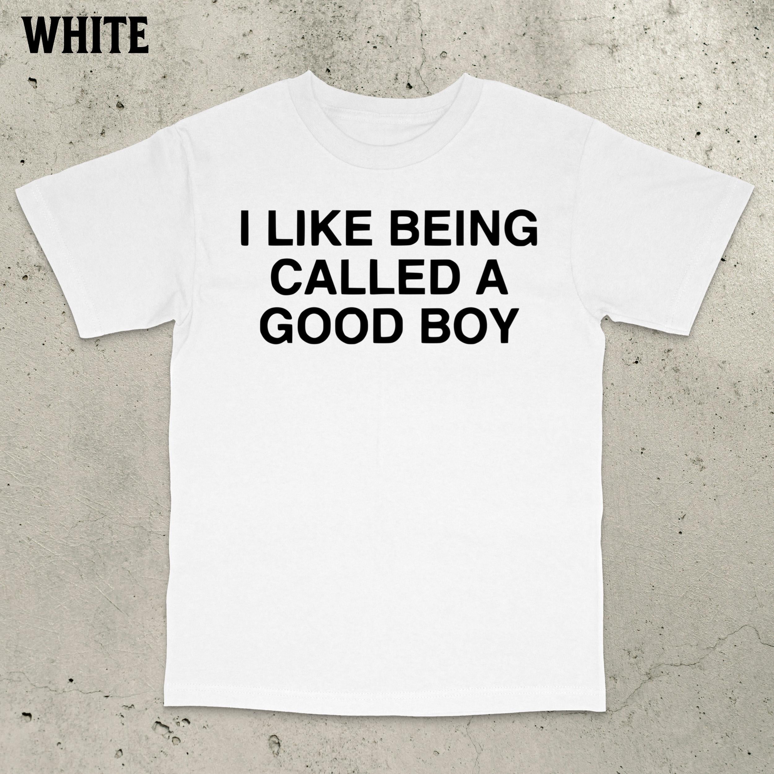 Good Boy Meme Stupid Dumb Brain Ro Embarrassing Saying Statemen (2)