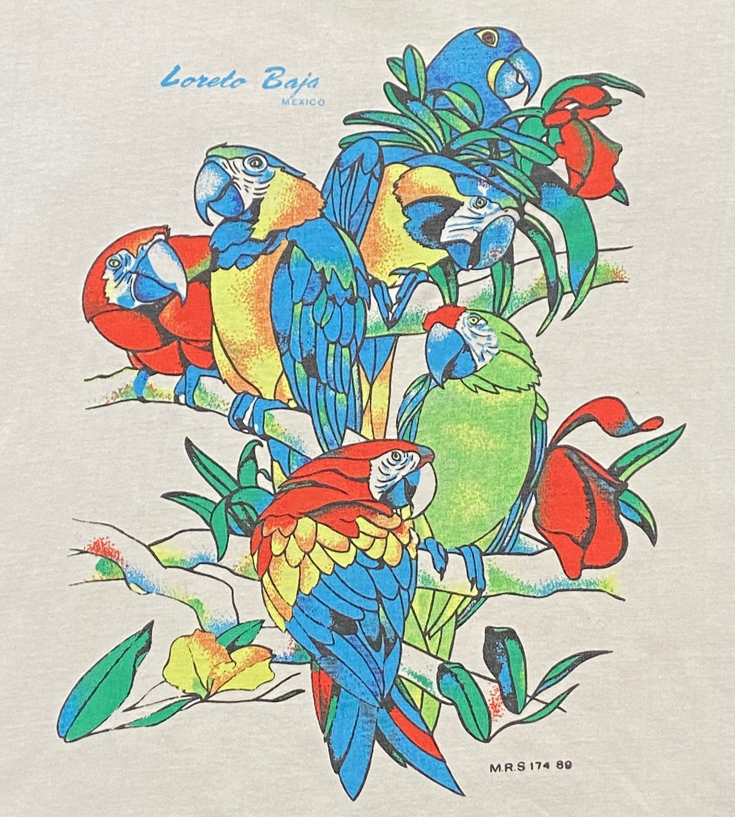 Vintage Loreto Baja Mexico Tee Size Small Cancun Mexico Party Vacation Beach Caribbean 1990s 90s Parrots Birds (3)