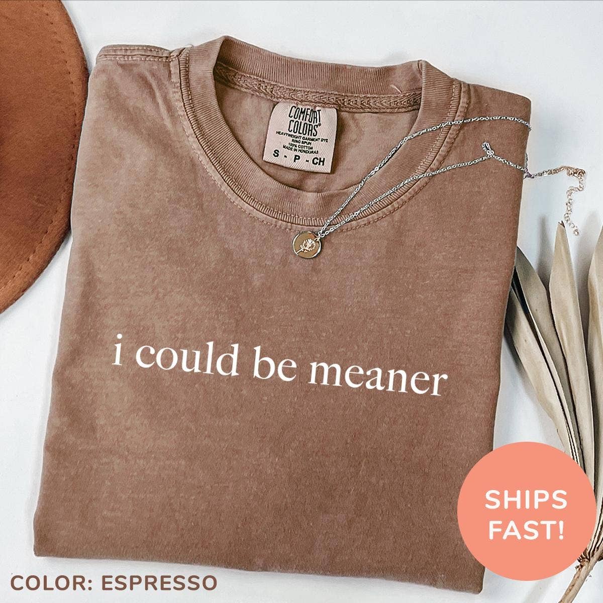 I Could Be Meaner Funny Quote Sarcastic Shirt Hoodie, Sweatshirt | PodTeesHub.com