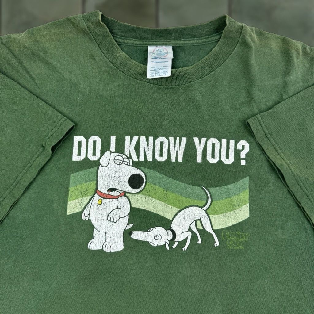 Vintage Delta Family Guy T Shirt Adult Xl Green Faded Brian Funny Cartoon Y2k Thrashed Men Hoodie, Sweatshirt