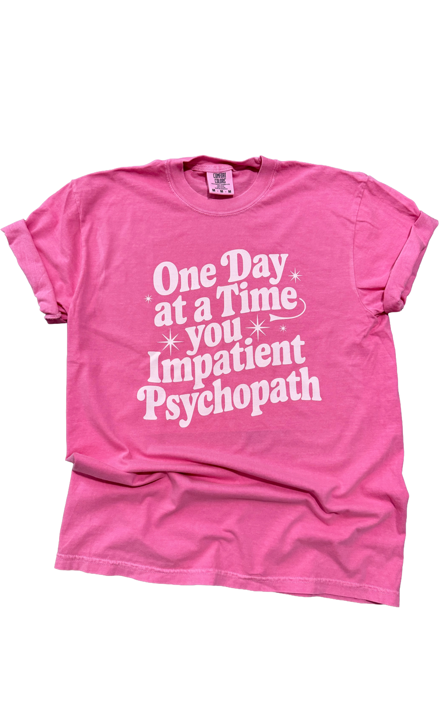 One Day At A Time Snarky Tee Hoodie, Sweatshirt | PodTeesHub.com