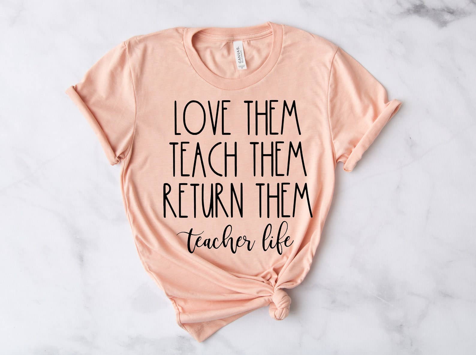 Teach Them Love Them Return Them T-Shirt Hoodie, Sweatshirt | PodTeesHub.com