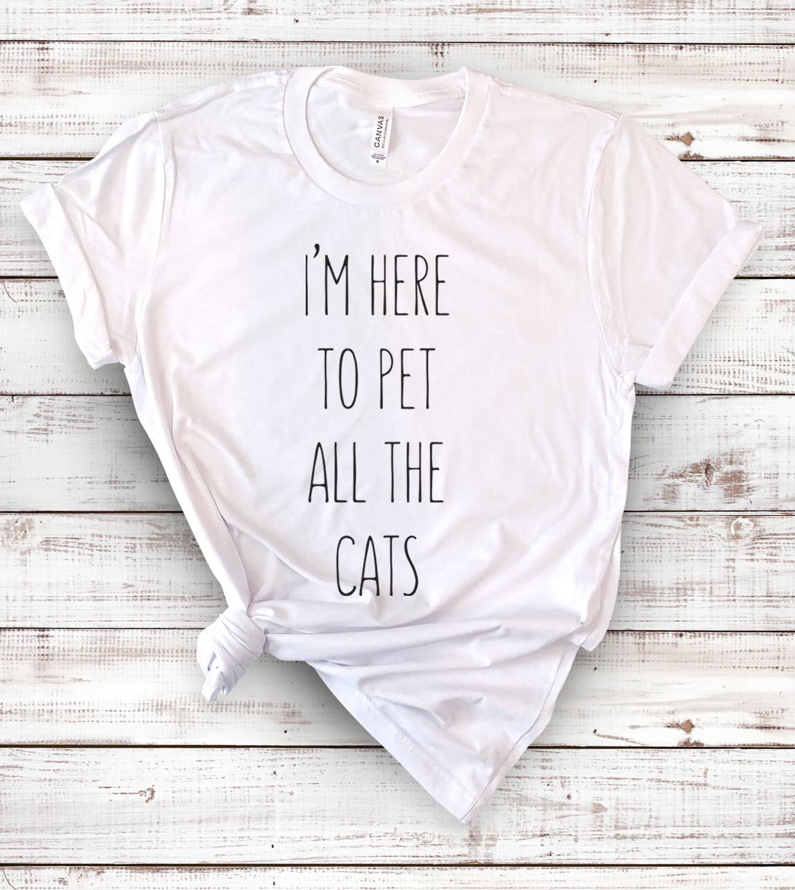 I'm Here To Pet All the Cats - Fun Sassy Cats Nerd T-Shirt Hoodie, Sweatshirt | PodTeesHub.com