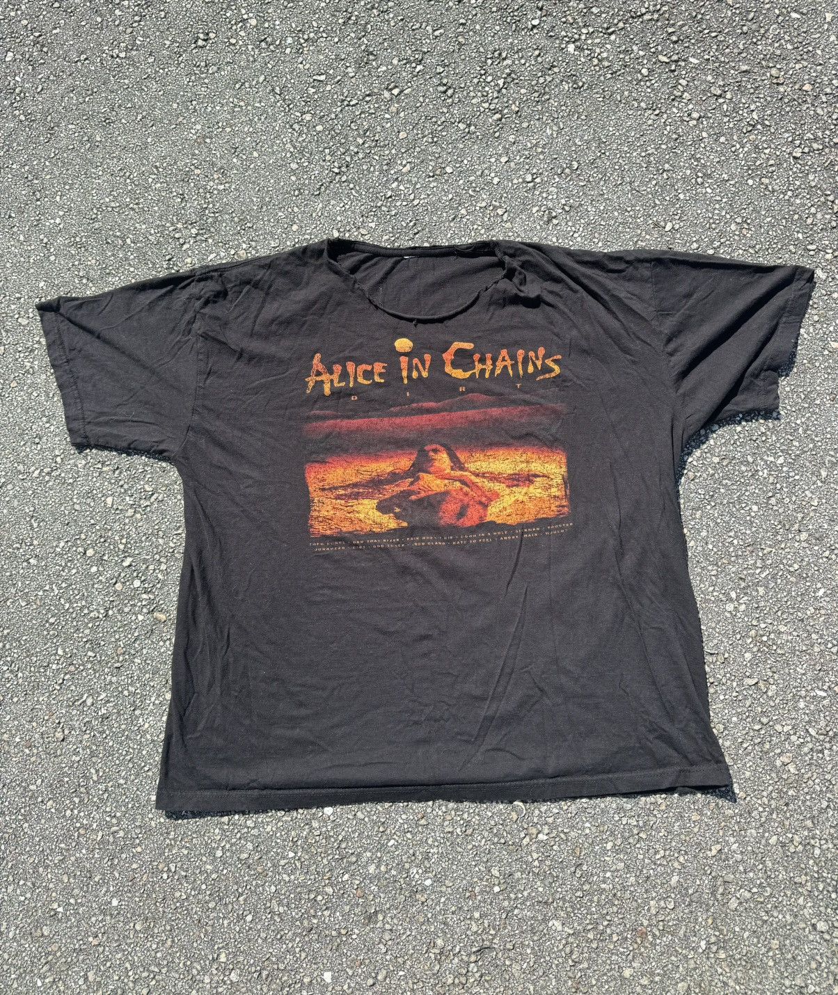 Band Tees 90s Retro Alice In Chains Dirt Album Promo 00s Vintage Rare Hoodie, Sweatshirt | PodTeesHub.com