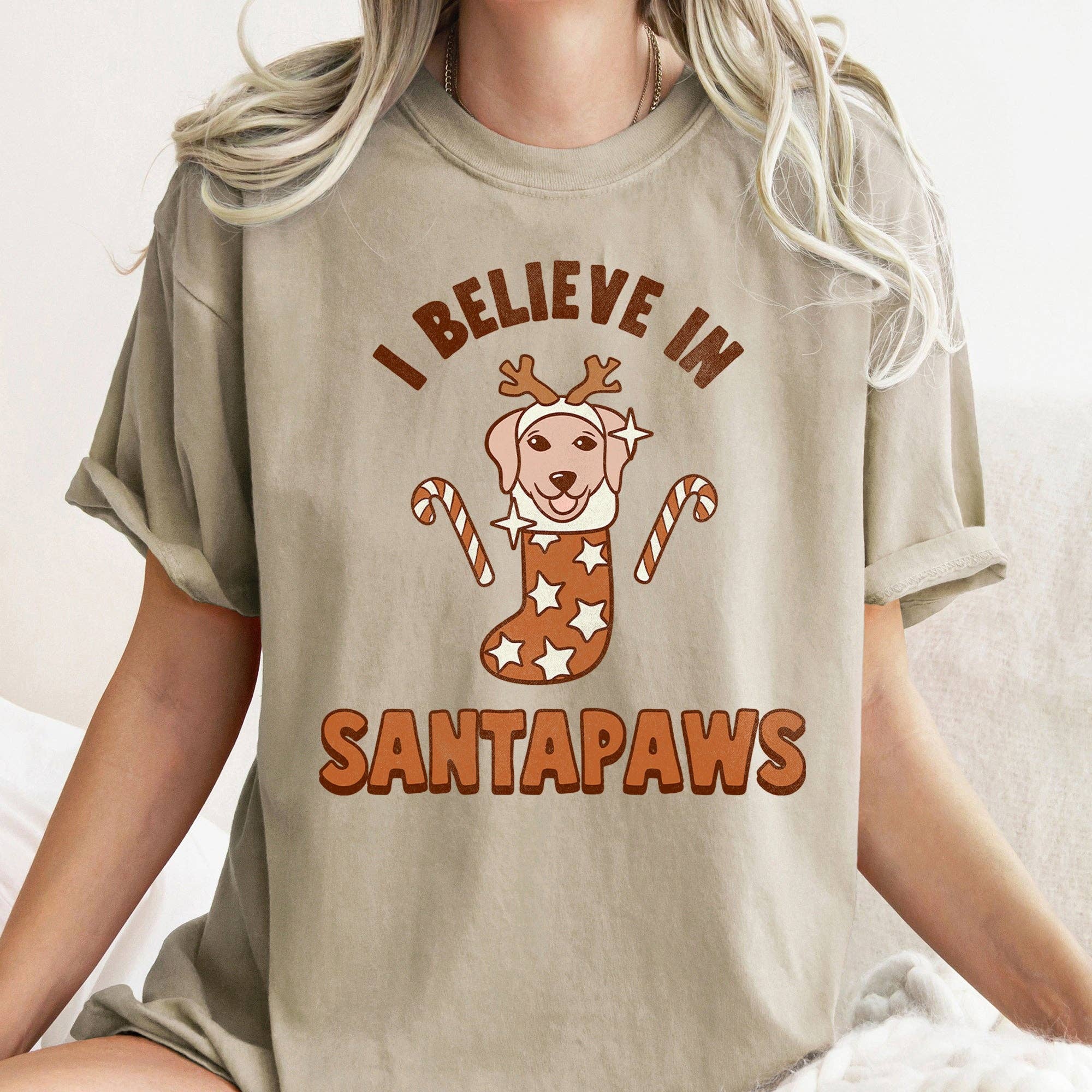 I Believe in Santa, Dog Lover, Pets, Christmas,, Tshirt Hoodie, Sweatshirt | PodTeesHub.com